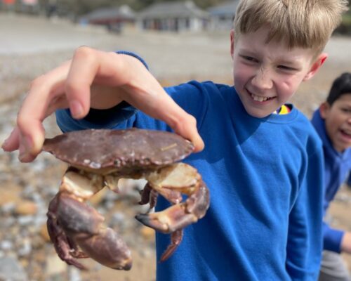 Beach finds…