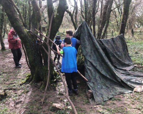 Den building in the woods