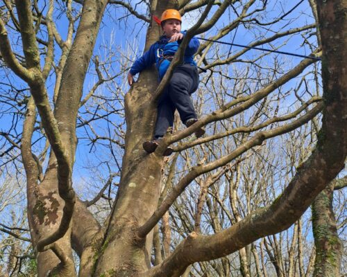 Climbing to the top of the tree