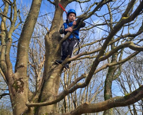 Tree climbing